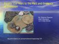Fossils: Our Keys to the Past and Evidence of Evolution PowerPoint PPT Presentation