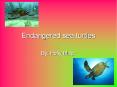 Endangered sea turtles PowerPoint PPT Presentation