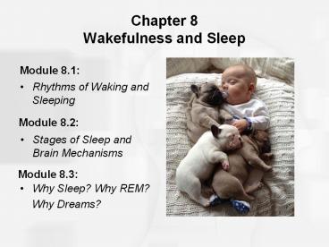Chapter 8 Wakefulness and Sleep
