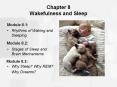 Chapter 8 Wakefulness and Sleep PowerPoint PPT Presentation