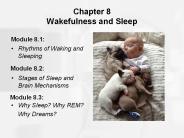 Chapter 8 Wakefulness and Sleep