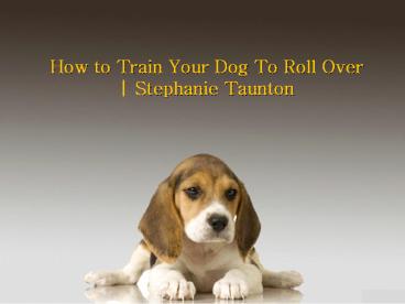 How to Train Your Dog To Roll Over | Stephanie Taunton