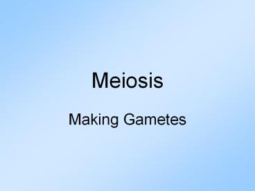 Meiosis
