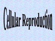 Cellular Reproduction