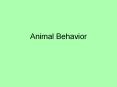 Animal Behavior PowerPoint PPT Presentation
