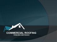 COMMERCIAL ROOFING - PROBLEMS & MAINTENANCE