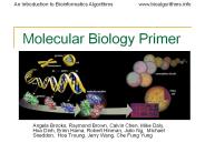 Molecular%20Biology%20Primer