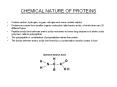 CHEMICAL NATURE OF PROTEINS PowerPoint PPT Presentation