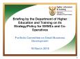 Briefing by the Department of Higher Education and Training on its Strategy/Policy for SMMEs and Co-Operatives PowerPoint PPT Presentation