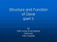 Structure and Function of Gene (part I) PowerPoint PPT Presentation