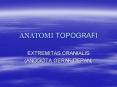 ANATOMI TOPOGRAFI PowerPoint PPT Presentation