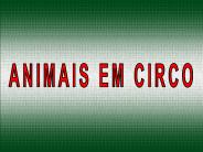 ANIMAIS EM CIRCO