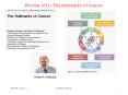 Review (V1) - The Hallmarks of Cancer PowerPoint PPT Presentation