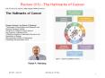 Review (V1) - The Hallmarks of Cancer PowerPoint PPT Presentation