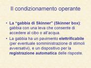 Il condizionamento operante