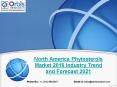 2016 North America Phytosterols Industry PowerPoint PPT Presentation