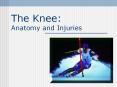 The Knee: Anatomy and Injuries PowerPoint PPT Presentation