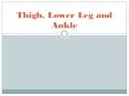 Thigh, Lower Leg and Ankle PowerPoint PPT Presentation