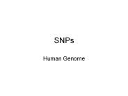 SNPs