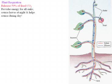 Bio%20226:%20Cell%20and%20Molecular%20Biology