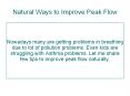 Natural Ways to Improve Peak Flow PowerPoint PPT Presentation