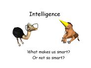Intelligence
