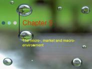 The micro-, market and macro-environment