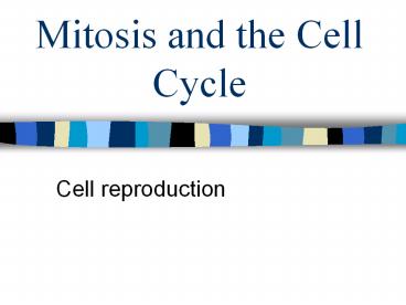 Mitosis and the Cell Cycle