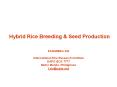 Hybrid Rice Breeding PowerPoint PPT Presentation