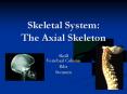 Skeletal System: The Axial Skeleton PowerPoint PPT Presentation