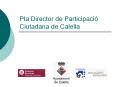 Pla Director de Participaci PowerPoint PPT Presentation