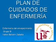 PLAN DE CUIDADOS DE ENFERMER