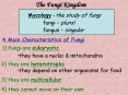 The Fungi Kingdom PowerPoint PPT Presentation