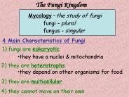 The Fungi Kingdom