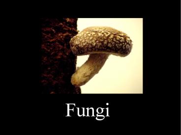 Fungi