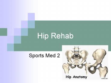Hip Rehab