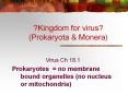 ?Kingdom%20for%20virus?%20(Prokaryota%20 PowerPoint PPT Presentation