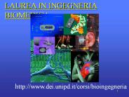 Presentazione%20di%20PowerPoint