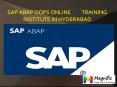 SAP ABAP OOPS ONLINE TRAINING INSTITUTE IN HYDERABAD PowerPoint PPT Presentation