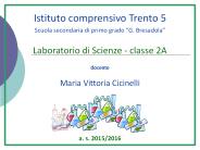 Istituto comprensivo Trento 5