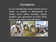 Ganader