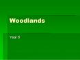 Woodlands PowerPoint PPT Presentation