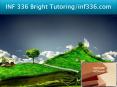 INF 336 Bright Tutoring/inf336.com PowerPoint PPT Presentation