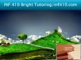 INF 410 Bright Tutoring/inf410.com PowerPoint PPT Presentation