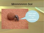 Mmmmmmm Soil