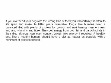 Help Your Dog to Lose Weight