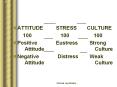 ATTITUDE     STRESS    CULTURE PowerPoint PPT Presentation