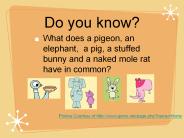 Do you know?