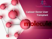 cadaver transplant