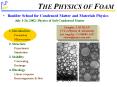 THE PHYSICS OF FOAM PowerPoint PPT Presentation